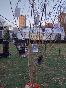 Pictures of dead Palestinian children on a barren tree in Cathedral Square Park, Milwaukee WI